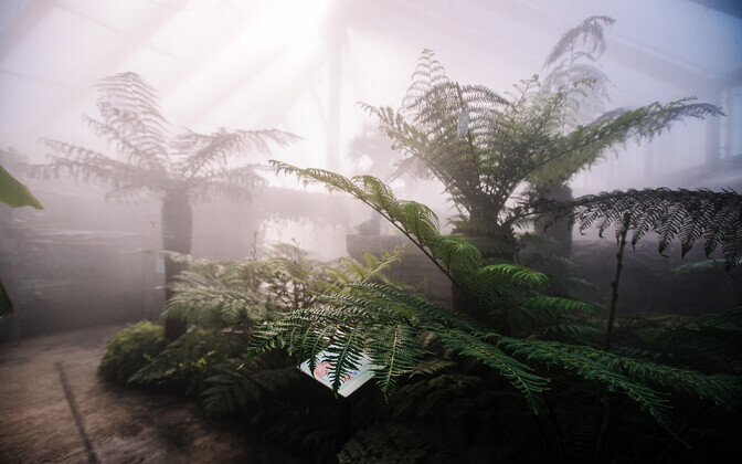 Tallinna loomaaia Kagu-Aasia vihmametsa ekspositsioon