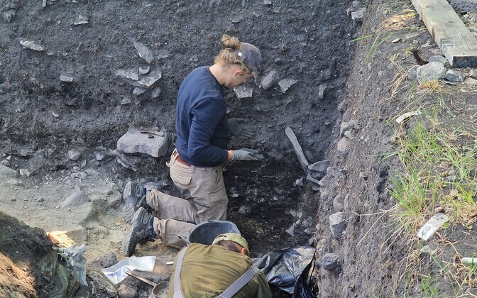 Saaremaal läbi viidud väljakaevamised tõid välja mitu Eesti vanimat leidu