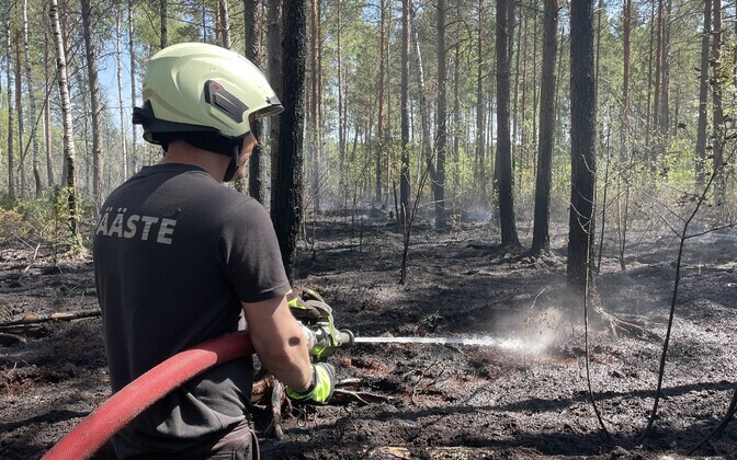 Kustutustööd Niinsaare järve ja Mustjärve vahel asuvas metsas.