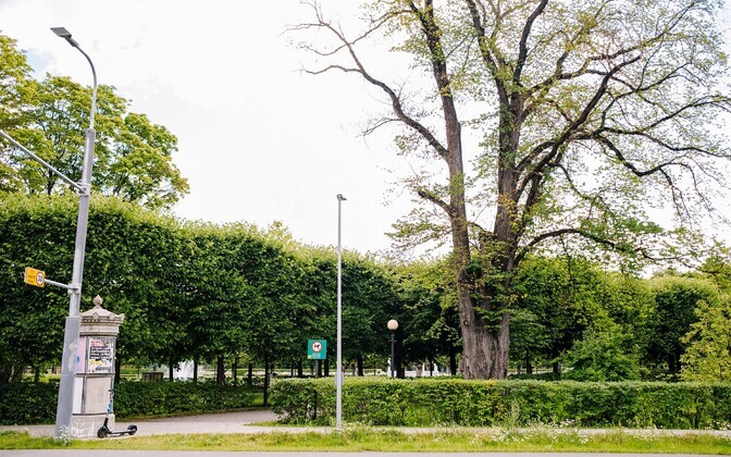 Kadrioru park