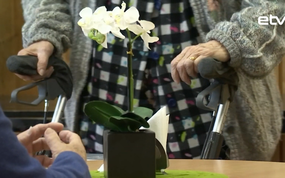 Социальное попечение.