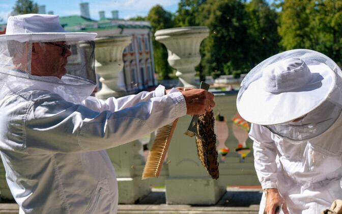 Eesti vabariigi president Alar Karis võttis kantselei ees mett