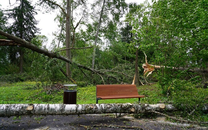 Aftermath of the storm of August 30-31, 2023, which hit the park in Tsooru, Võru County.