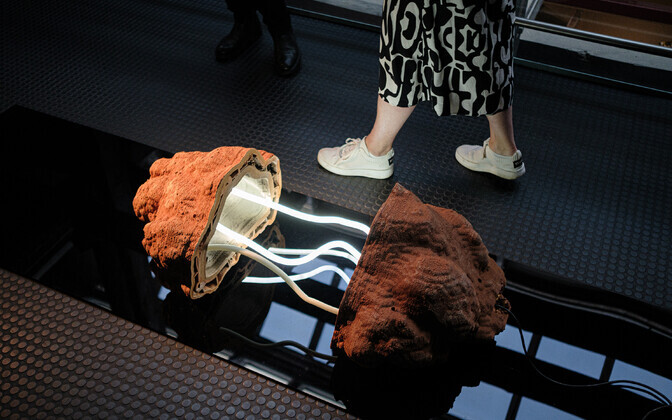 Näituse näituse „Keraamika kannab | Loading Ceramics“ avamine