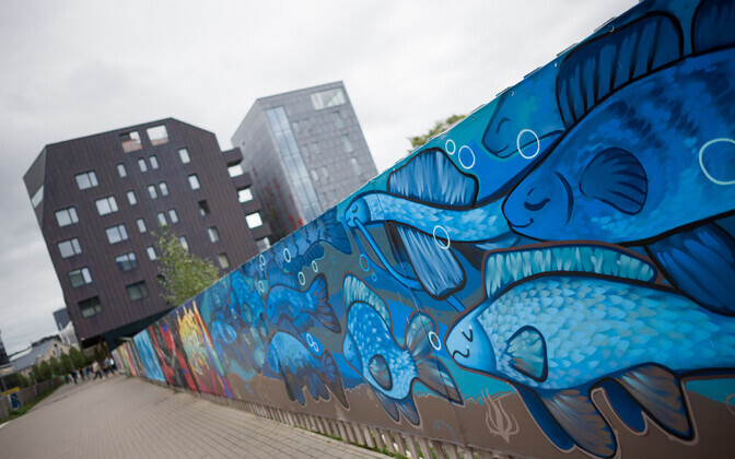Young artists sprayed their designs on a wall as part of the Poordi Supergraafika project.