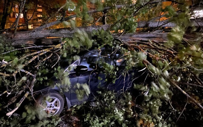 Упавшее на автомобиль дерево на улице Сыле в Таллинне.