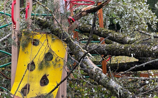 Последствия шторма в Нарва-Йыэсуу.