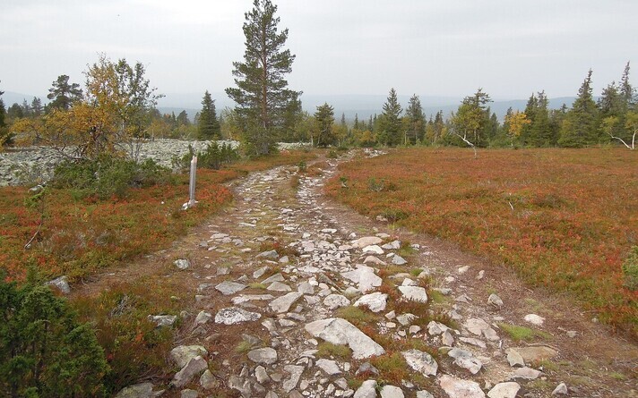 Лапландия. Иллюстративная фотография.