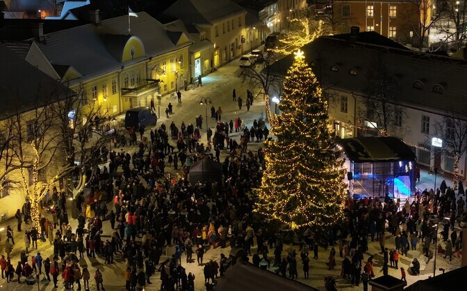 Anti Toplaan and Mikk Tuisk.