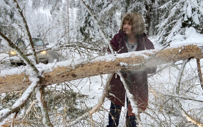 Fallen trees on roads in Karula National Park.
