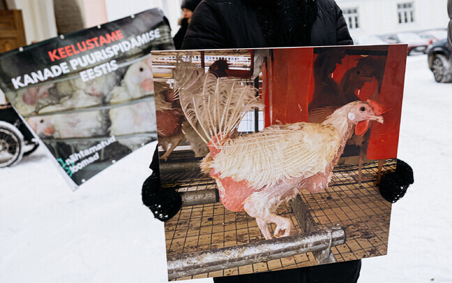 Riigikogu ees meeleavaldus kanade kaitseks.