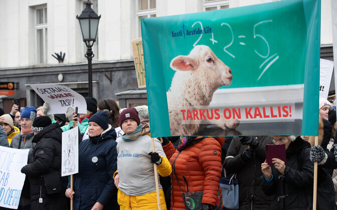 Демонстрация в поддержку работников образования на Ратушной площади Тарту.