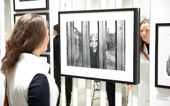 „Lähedalt ja isiklikult. Juhan Kuusi portreed” avamine.