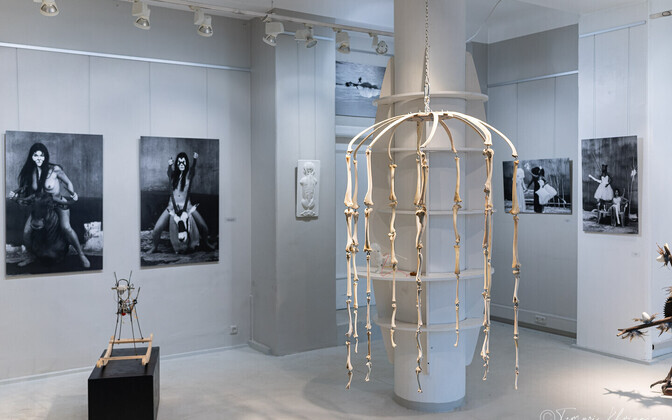 Opening of Taje Paldrok's exhibition 