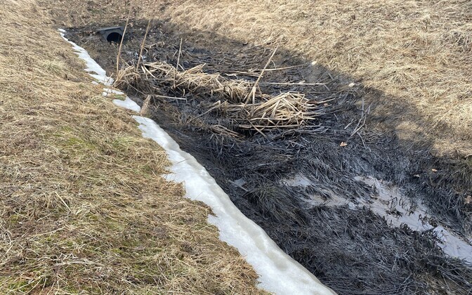 Oil spill near Paide, which had threatened to leach into the nearby Pärnu River.