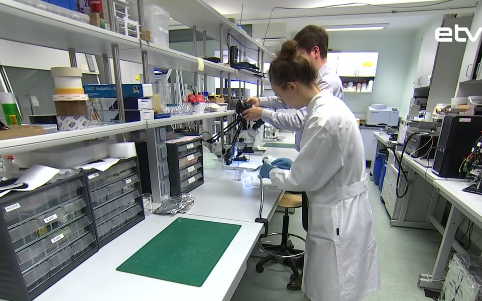 Учёные Тартуского университета в сотрудничестве с итальянскими коллегами занимаются разработкой так называемого 