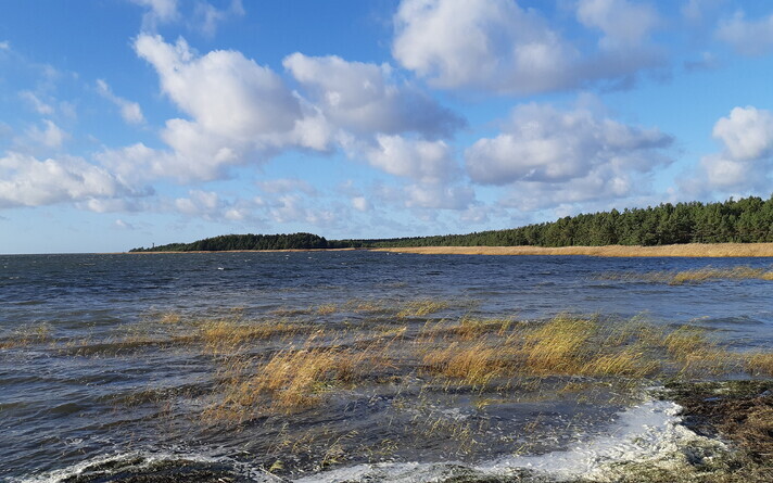 Осень. Иллюстративная фотография.