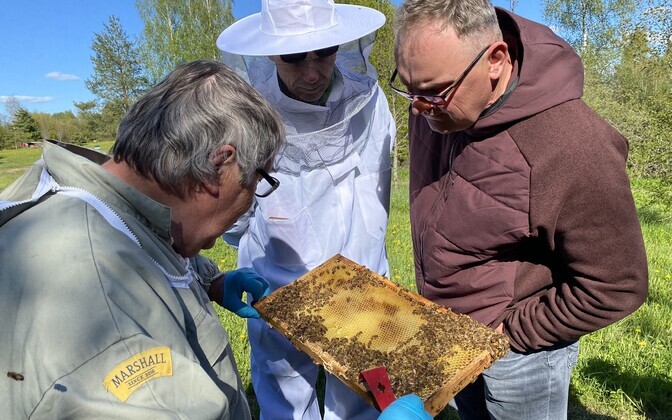 Tartumaa hobimesinik Rein Pedaja oma mesilas mesinike liidu koolitust läbi viimas.