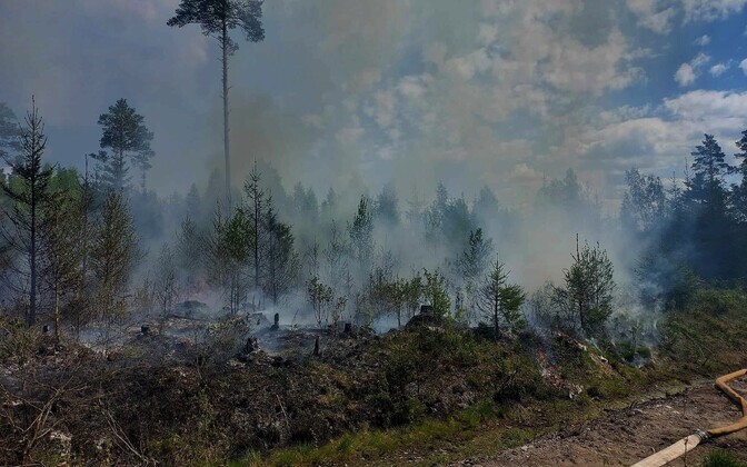 Kukruse metsapõleng.