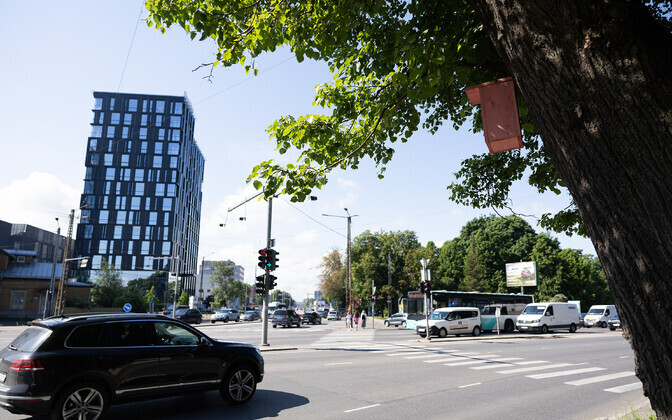 Hipodroomi ristmik, Paldiski mnt-Mustamäe tee