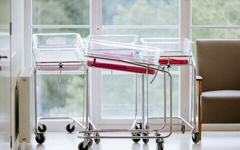 Тележки для перевозки новорожденных.