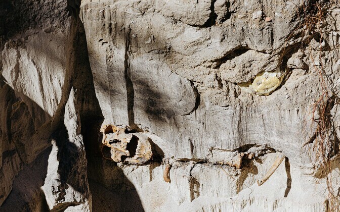 A skeleton was found during constructon work at the Kunderi and Kreutzwaldi intersection in Tallinn.