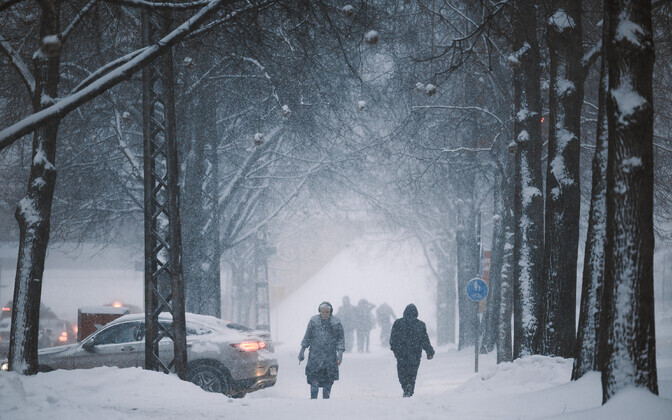 Lumine Tallinn