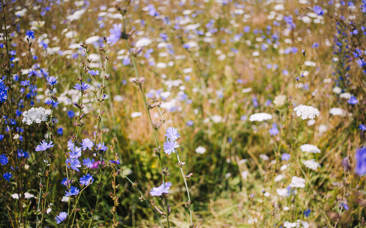Иллюстративное фото.