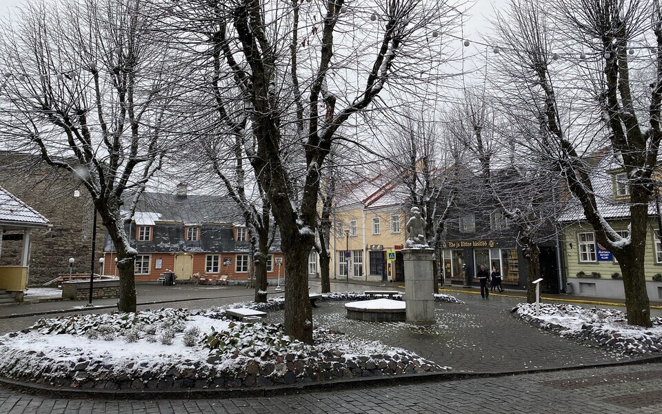 Мокрый снег.