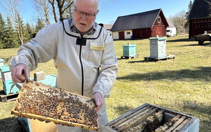 Kutseline mesinik Lembit Liin.