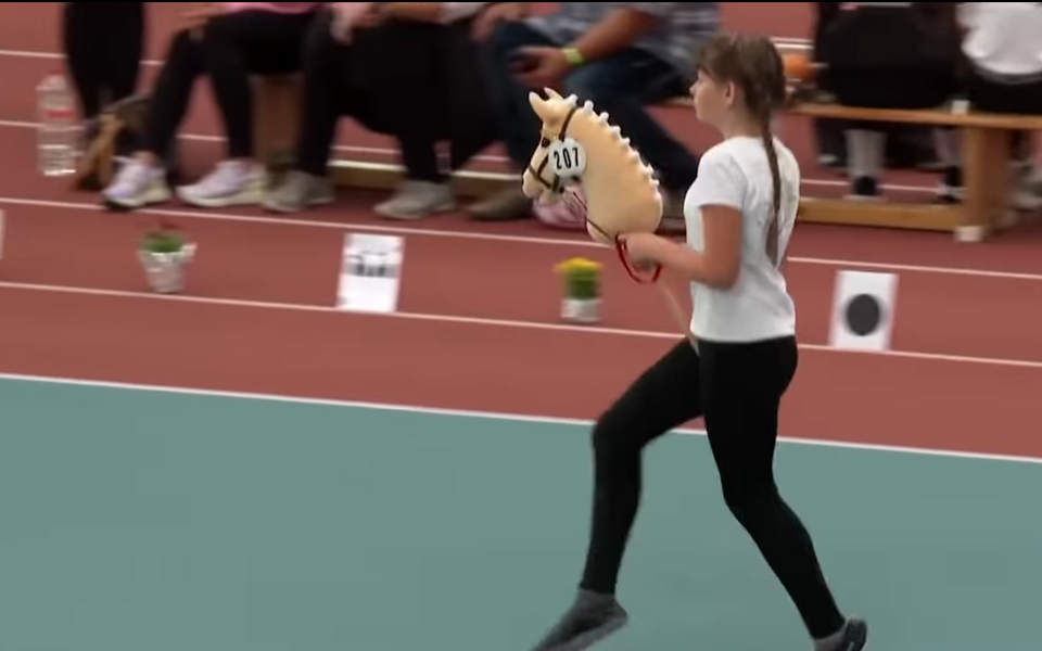 Хоббихорсинг.