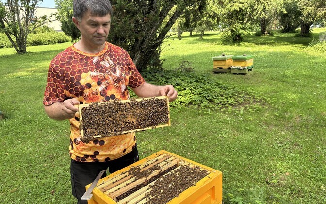 Olustvere teenindus- ja maamajanduskooli õppemesila ja mesiduse eriala juhtõpetaja Valmar Lutsar
