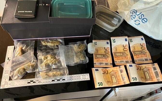 Фотографии, сделанные при обыске в квартирах задержанного.