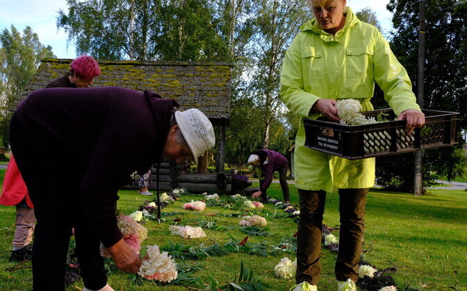 Flower carpet made for the Feast of the Dormition in Mikitamäe, Setomaa. August 27. 2025.