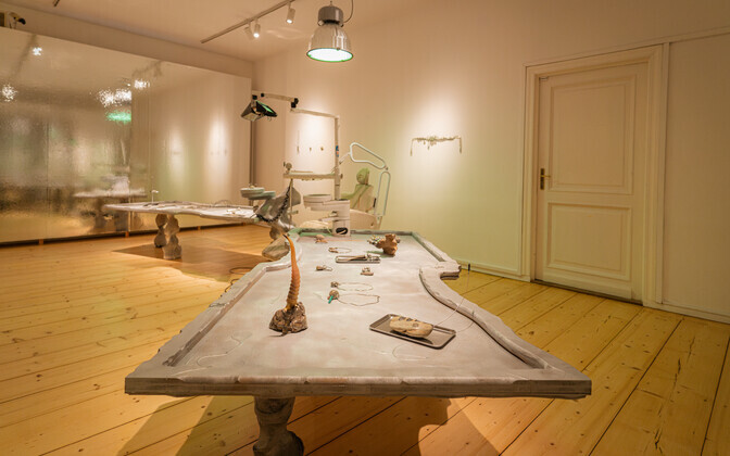 Tarbekunsti- ja disainimuuseumis avati installatsioon 