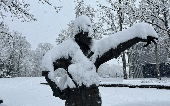 Jõhvi: Snow fell across Estonia for the first time this winter on November 18, 2025.