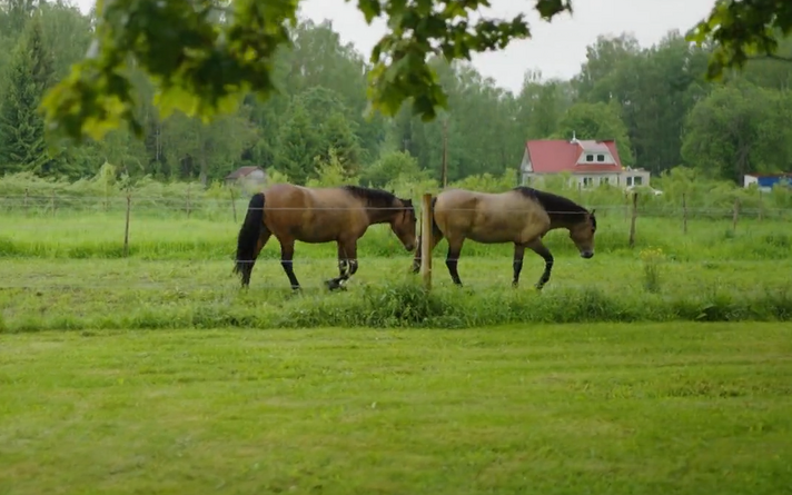 Эко? Логично