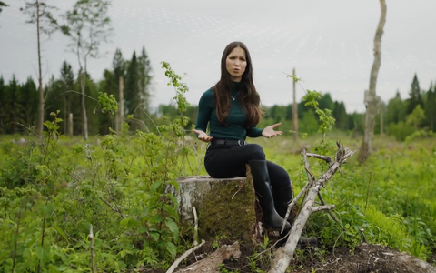 Эко? Логично