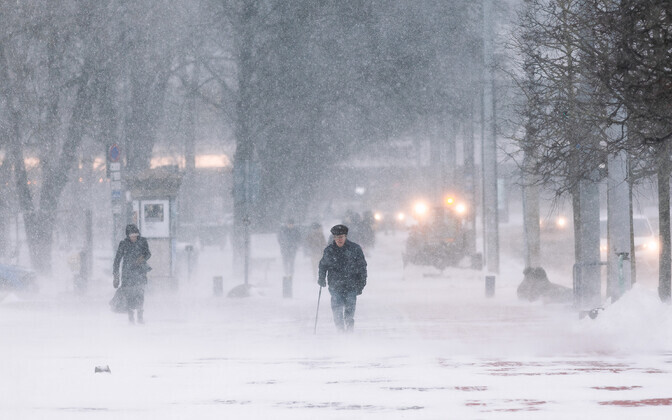 Метель в Таллинне.