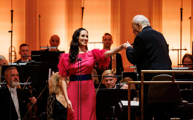 Новогодний концерт.