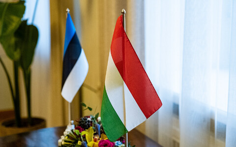 Флаги Венгрии и Эстонии.