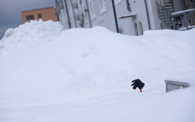 Снег шел в Таллинне почти все выходные.