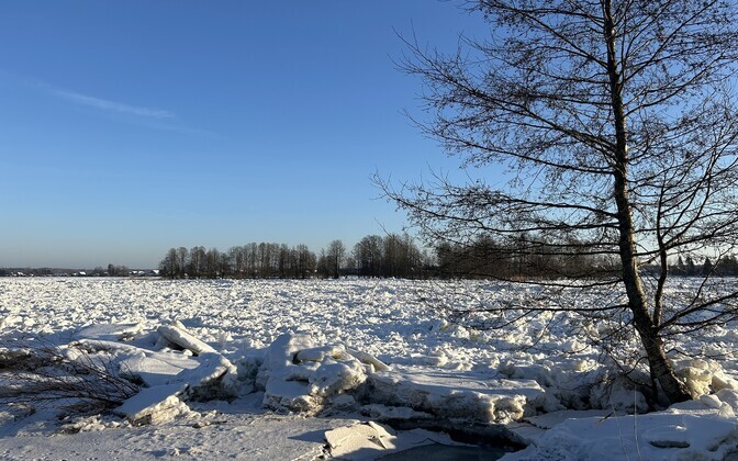 Торосы в Кунингакюла, 16 января 2026 года.