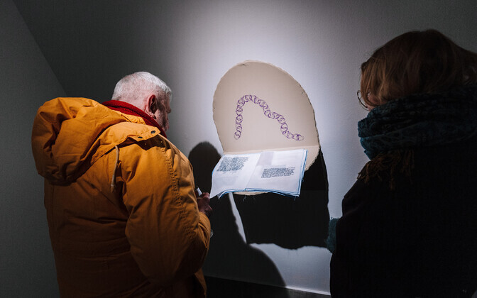 Maria Izabella Lehtsaare näitus „Jänesed paitavad su pead“ Hobusepea galeriis