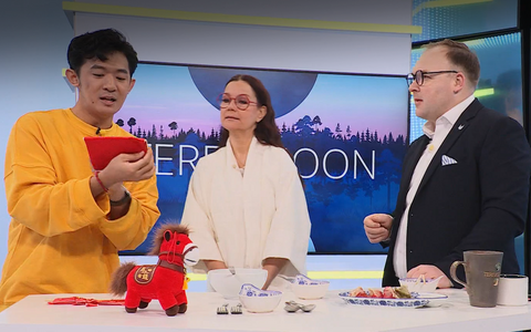 Sisulooja Kaspar Wang tutvustab 