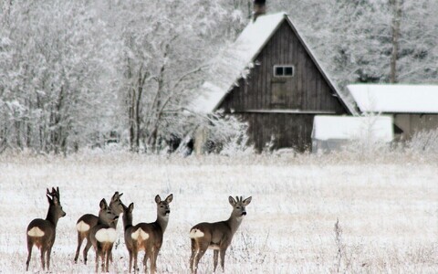 Päikese käes võib näidata õhutemperatuur peagi kevadele iseloomulikke numbreid.