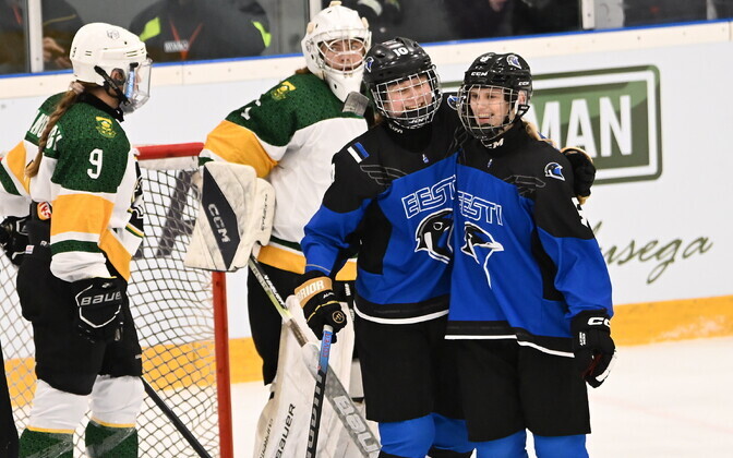 ЧМ по хоккею: Эстония-ЮАР.