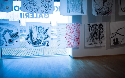 Matti Tapio Vainio ja Tomi Slotte Dufva “Dialoog / Mis meie vahel liigub” Viimsi Artiumi kunstikooli galeriis