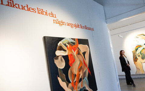 Rebeka Vaino isikunäitus „Liikudes läbi elu nägin aeg-ajalt iluvilksatusi“ Kastellaanimaja galeriis