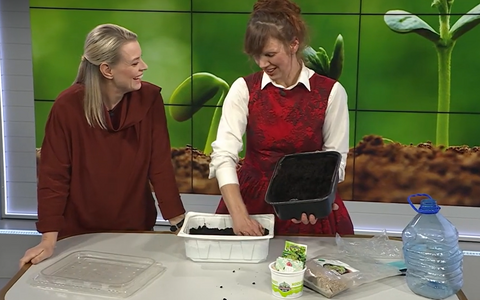 Jaago käsitöötalu perenaine Inga Talvis